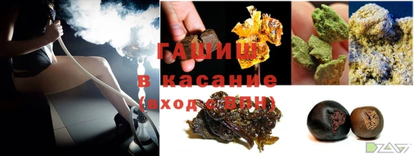трава Коряжма