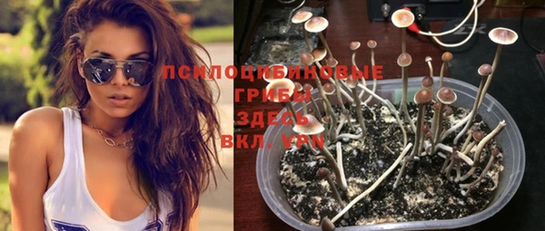 стафф Волоколамск