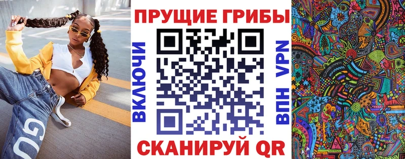Псилоцибиновые грибы Psilocybine cubensis Заволжье