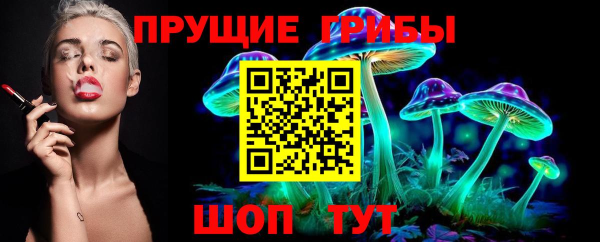 Заволжье  Псилоцибиновые грибы мухоморы  Вход с VPN 